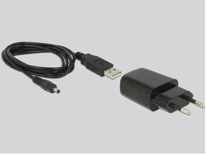 DeLOCK 62976 nätverkskort Ethernet 100 Mbit/s