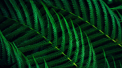 Philips 5000 series 27B2G5200/00 platta pc-skärmar 68,6 cm (27") 1920 x 1080 pixlar Full HD LCD Antracit