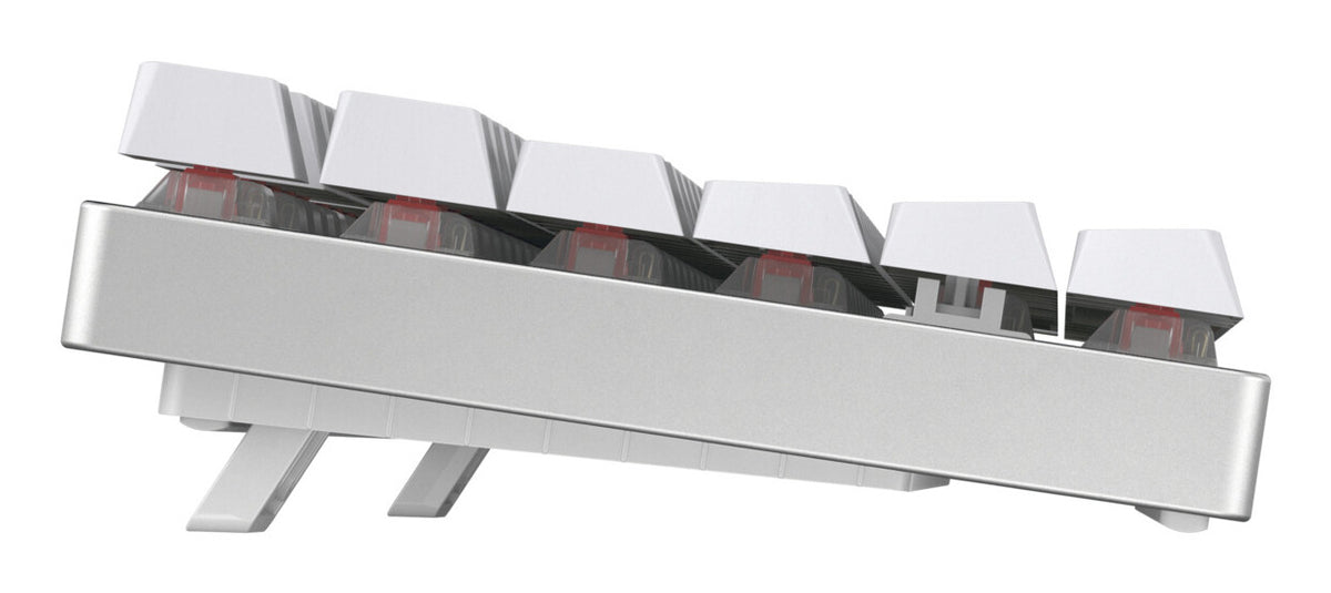 CHERRY MX 8.2 TKL Wireless RGB tangentbord Spela USB + RF Wireless + Bluetooth QWERTZ tyska Vit
