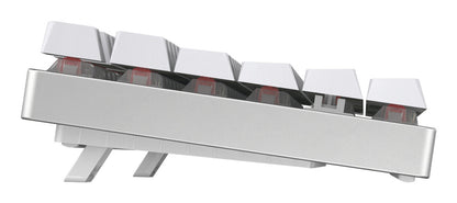CHERRY MX 8.2 TKL Wireless RGB tangentbord Spela USB + RF Wireless + Bluetooth QWERTZ tyska Vit