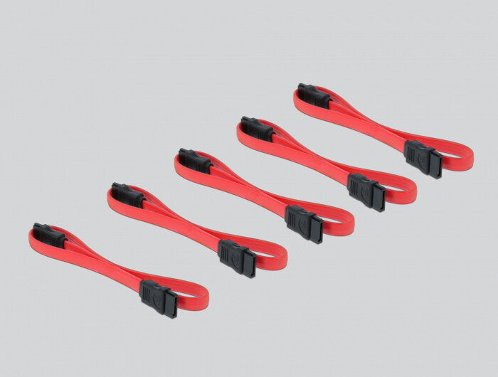 DeLOCK 90498 nätverkskort/adapters Intern SATA