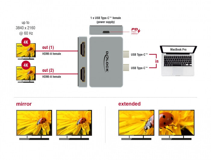 DeLOCK 64123 dockningsstationer för bärbara datorer USB 3.2 Gen 1 (3.1 Gen 1) Type-C Grå