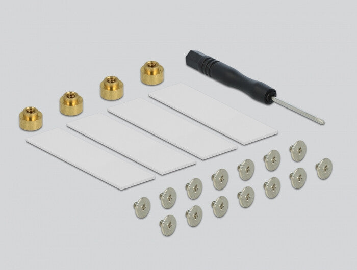 DeLOCK 89044 nätverkskort/adapters Intern M.2