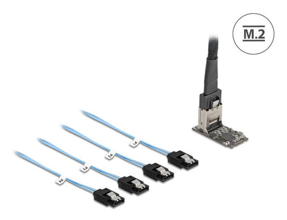 DeLOCK 64260 nätverkskort/adapters Intern Mini-SAS