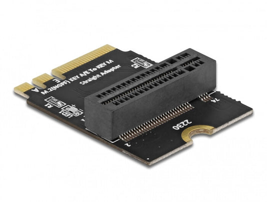 DeLOCK 64137 nätverkskort/adapters Intern M.2