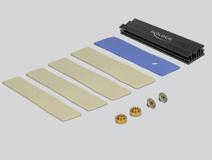 DeLOCK 89630 nätverkskort/adapters Intern M.2, SATA