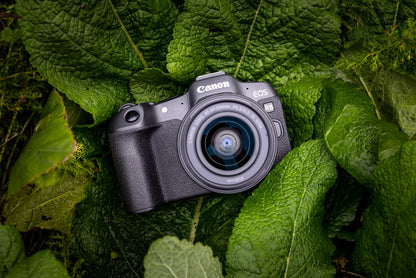 Canon EOS R8 + RF 24-50mm F4.5-6.3 IS STM Kit MILC 24,2 MP CMOS 6000 x 4000 pixlar Svart
