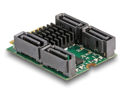 DeLOCK 61062 nätverkskort/adapters Intern SATA