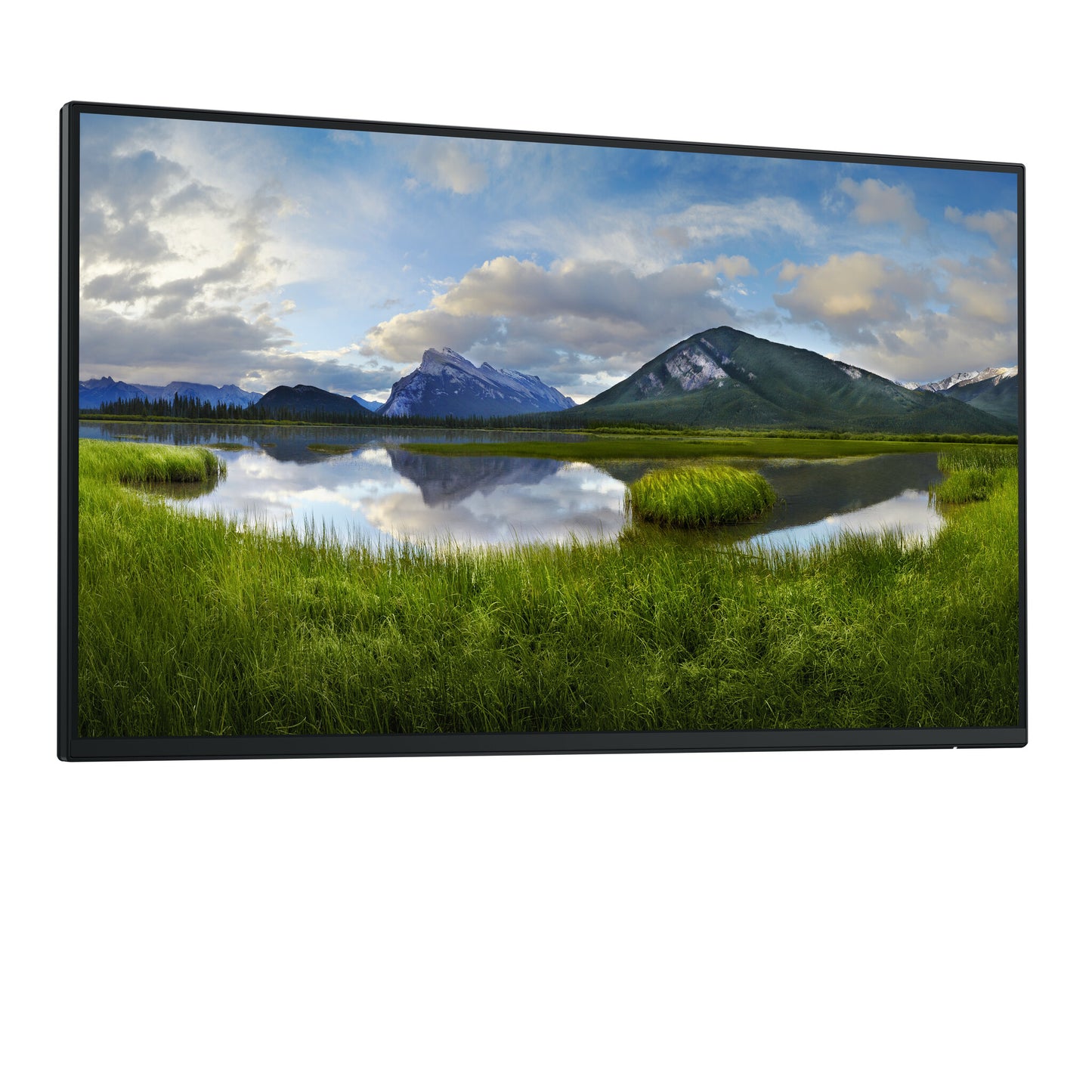 DELL P Series P2425HE_WOST platta pc-skärmar 61 cm (24") 1920 x 1080 pixlar Full HD LCD Svart