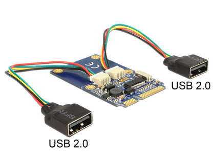 DeLOCK 95242 nätverkskort/adapters Intern USB 2.0