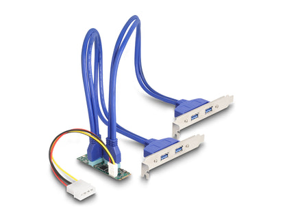 DeLOCK 61066 nätverkskort/adapters Intern USB 3.2 Gen 1 (3.1 Gen 1)