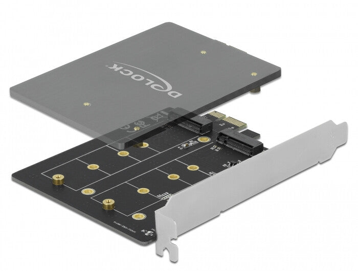 DeLOCK 90432 nätverkskort/adapters Intern M.2