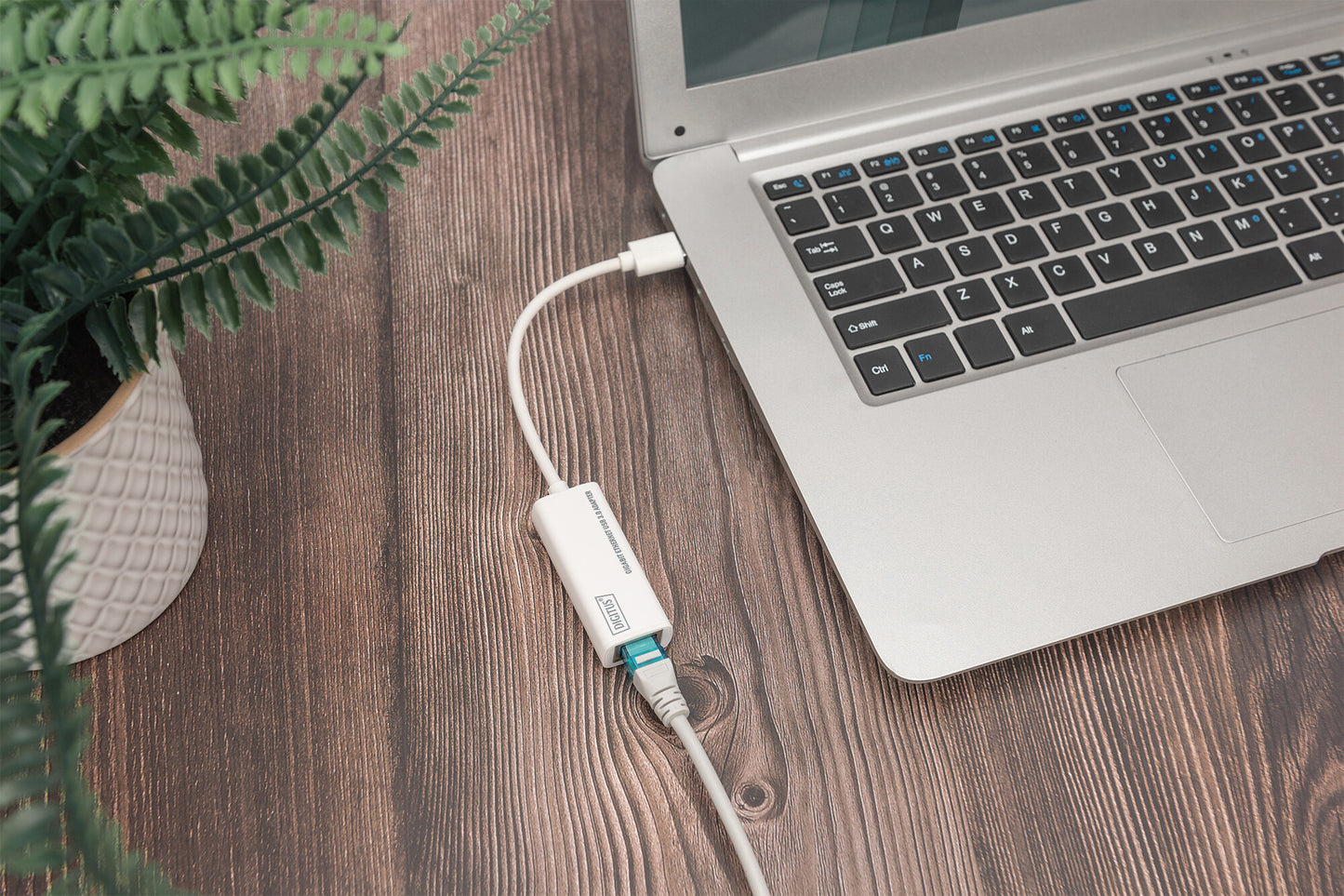 Digitus DN-3023 nätverkskort/adapters