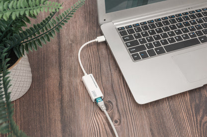 Digitus DN-3023 nätverkskort/adapters