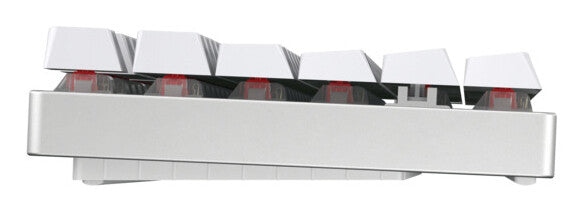 CHERRY MX 8.2 TKL Wireless RGB tangentbord Spela USB + RF Wireless + Bluetooth QWERTZ tyska Vit