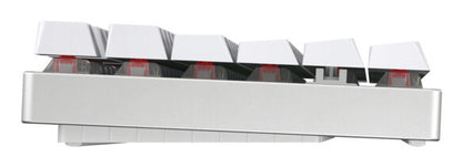 CHERRY MX 8.2 TKL Wireless RGB tangentbord Spela USB + RF Wireless + Bluetooth QWERTZ tyska Vit