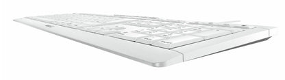 CHERRY JK-8500HU-0 tangentbord Hem / Kontor USB QWERTZ Ungerska Ljusgrå