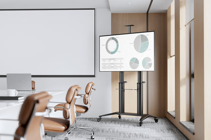 Digitus DA-90452 tv-fäste 3,05 m (120") Svart