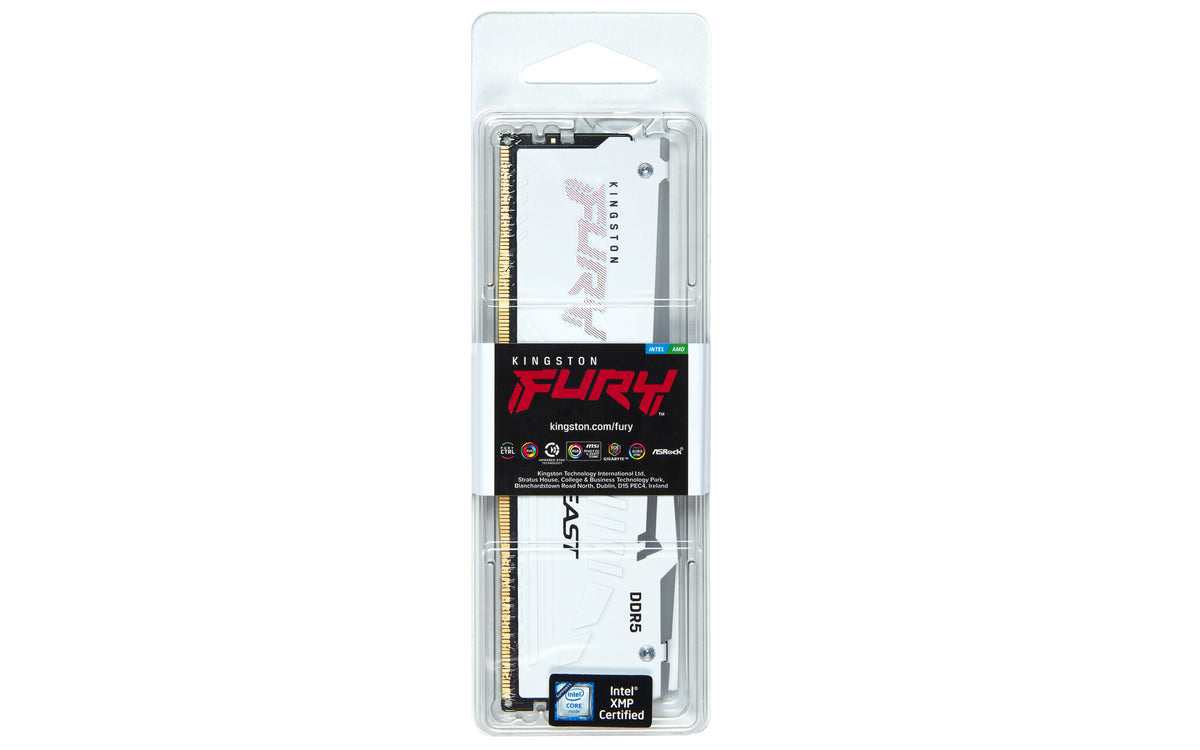 Kingston Technology FURY Beast RGB RAM-minnen 16 GB 1 x 16 GB DDR5 6400 MT/s 288-pin DIMM ECC