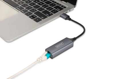 Digitus DN-3023 nätverkskort/adapters